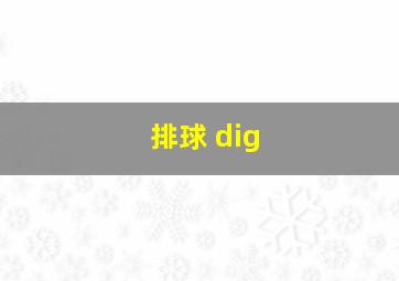 排球 dig